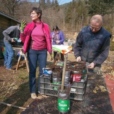 Boutures prêtes pour s'enraciner