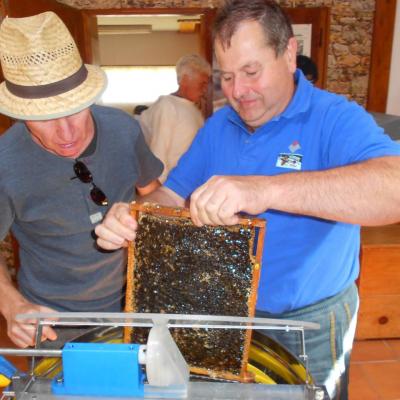 Extraction du miel des ruches du rucher école