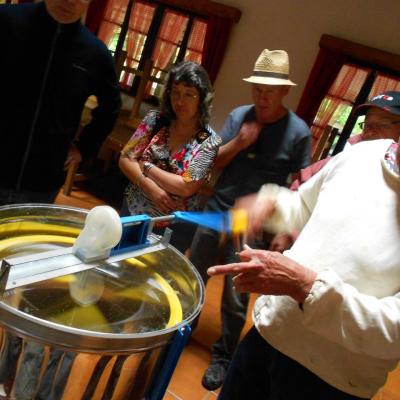 Extraction du miel des ruches du rucher école